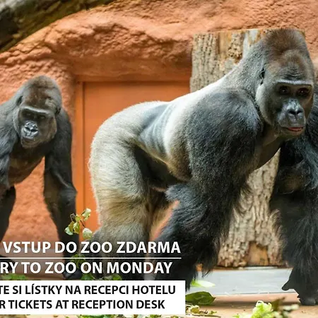 Szálloda Uno
